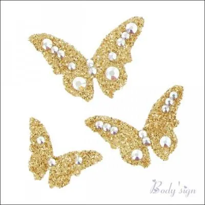 Personne qui lave les alluvions aurifères pour en retirer les paillettes d'or :