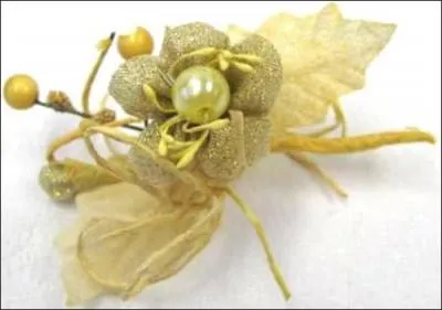 Aiguillette, bécassine des mers, poisson au corps élancé et à bec fin et pointu :