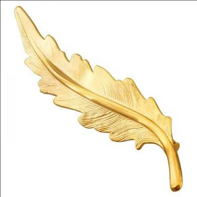 Moitié d'abricot dénoyauté :