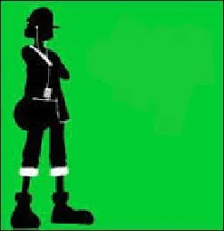 Qui est ce membre de l'équipage du chapeau de paille ?