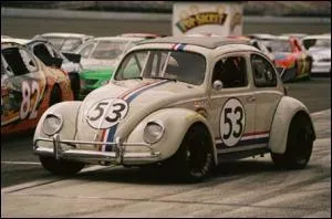 Vedette du film ....