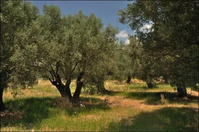 Que représente le jeudi saint ?