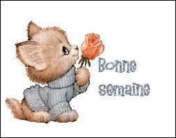 Quel est ce journal Créé en 1948 par Pierre Lazareff, alors directeur général du quotidien France-Soir ?