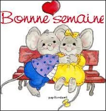 Quand nwt va-t-elle cesser d'écrire des bêtises dans ses quiz ?