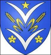 Je vous présente le blason de Vélizy-Villacoublay. Cette ville d'Ile-de-France se situe dans le département ...