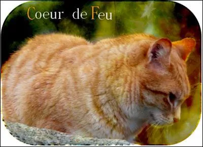 Dans le second livre, comment Cur de Feu a-t-il gagné l'amitié de Tempête de Sable ?