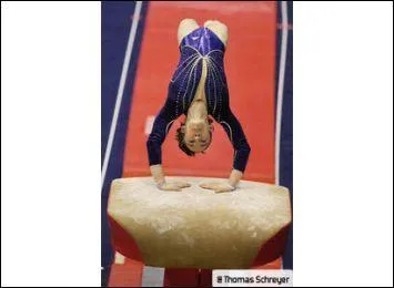 Quel est cet agrès ?