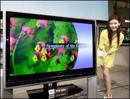 Depuis plusieurs décennies, les marques japonaises spécialisées dans l'électronique ont inondé la planète. Trouvez la réponse désignant l'une de ces fameuses marques nippones :