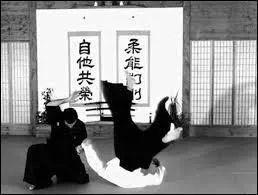 Depuis des siècles, le Japon est réputé pour être un véritable berceau d'une multitude d'arts martiaux. Parmi ces disciplines, laquelle n'est pas originaire du Japon ?