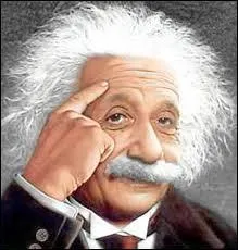 Quelle anagramme trouvez-vous dans "Albert Einstein" ?