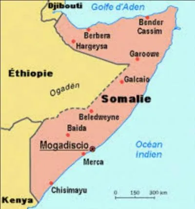 Quelle est la langue officielle en Somalie ?
