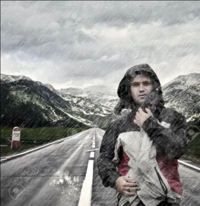 Qui chantait "Je marche seul" ?