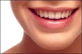 Comment appelle-t-on la substance qui recouvre la dentine ?
