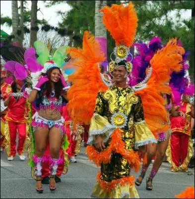 Au carnaval, avec quelles couleurs décore-t-on ?