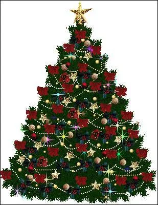 À Noël, que met-on dans le salon ?