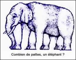 Combien de pieds possède cet éléphant ?