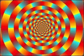 De quoi est composée cette image ?