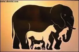 Combien d'animaux sont présents dans cette image ?