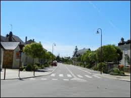 Située dans les Pays-de-la-Loire, Arquenay est une commune du département ...