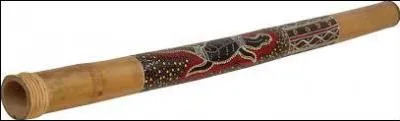 De quelle famille d'instruments de musique le "didgeridoo" fait-il partie ?