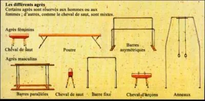 De combien d'agrès se compose la gymnastique artistique féminine ?