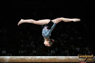 Combien existe-t-il de sortes de gymnastique ?