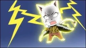Cette chatte appartient vraiment à Wendy de Fairy Tail.