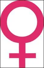 Au féminin, ils se déclinent sur :