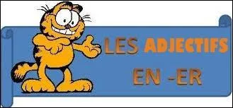 Les adjectifs en -er se déclinent au masculin comme :