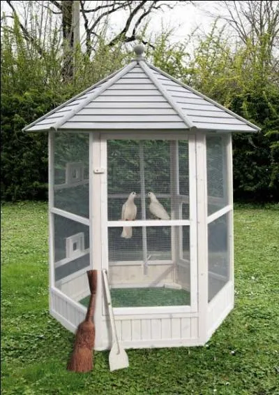 La flûte et les violons imitent les chants des oiseaux qui s'agitent dans la...