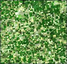 Quelle est cette image ?