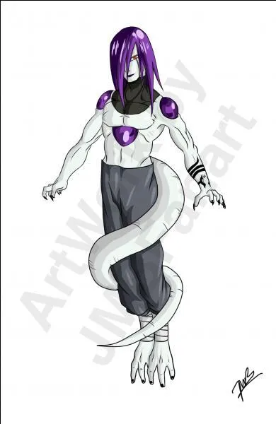 Quels sont les deux personnages qui cherchent à obtenir l'immortalité ?