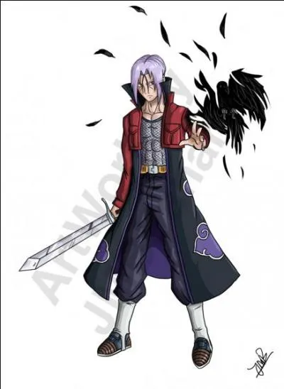 Venant du futur le premier est le fils du prince des Saiyans. Le second a tout fait pour sauver son village et son petit frère.