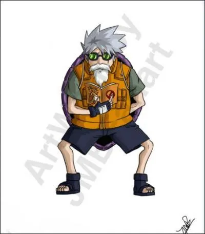 Le premier a mis plus de cinquante ans pour maîtriser le Kamehameha. Le second adore lire les livres inventés par Jiraya.