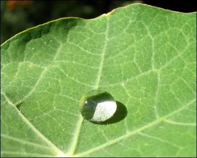 Comment appelle-t-on ce phénomène (cf photo) ?