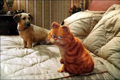 Combien d'animaux réel vois-tu sur la photo ?