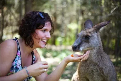 Trouve le nom de l'animal !