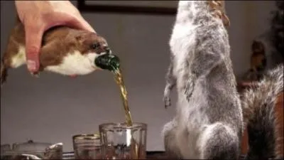 Quel animal penses-tu reconnaître à droite sur la photo ?