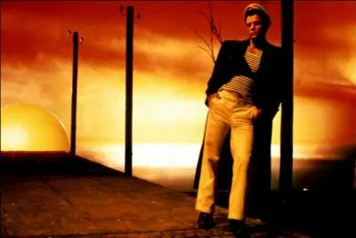 Tiré d'un roman de Jean Genet ce film à l'esthétique époustouflante inclut Jeanne Moreau et Brad Davis. Le réalisateur, Fassbinder, meurt avant la fin du montage. Le film raconte l'histoire de l'homosexualité latente du personnage Querelle. C'est le magnifique :