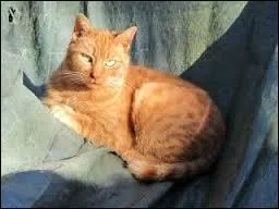 Qui lui change son premier nom de guerrière ?