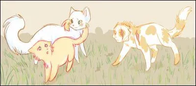 De qui la chatte (réponse en haut) est-elle amoureuse ?