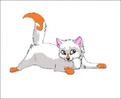 Par qui Cœur Blanc est-elle enlevée alors qu'elle n'était qu'un chaton ?