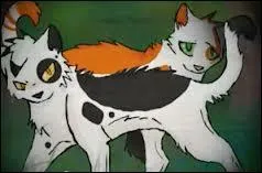 Pourquoi est-elle partie du camp pour aller au Rocher au serpent ?