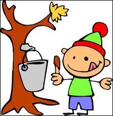 Lesquelles de ces filles n'est pas dans la saison 4 ?