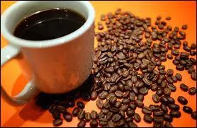 Qu'est-ce que le kopi luwak ?