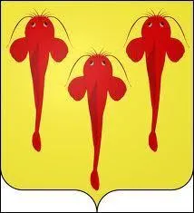 Voici le blason d'une ville du Poitou-Charentes. Ville natale de François Mitterrand, il s'agit de ...