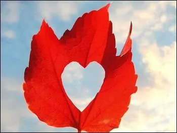 Qui chantait "Et les salauds qui beuglent la couleur de l'amour, et les journaux qui traînent comme je traîne mon ennui" ?