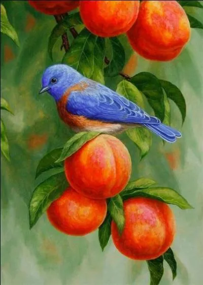 Qu'est-ce qui était de toutes les couleurs pour Gilbert Bécaud ?