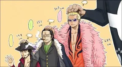 Comment Doflamingo portait-il sa chemise avant l'ellipse ?