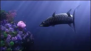 Quel animal a mangé toute la couvée ?